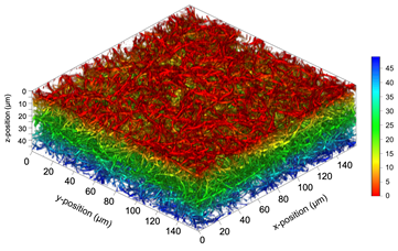 3D Image of a collagen matrix (TAMRA),  LSM700, ZEN-3D, [Katja Franke]